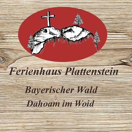Ferienhaus Plattenstein Kirchberg  Εξωτερικό φωτογραφία