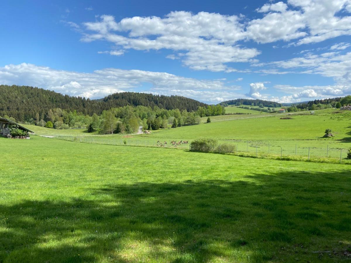 Ferienhaus Plattenstein Kirchberg  Εξωτερικό φωτογραφία